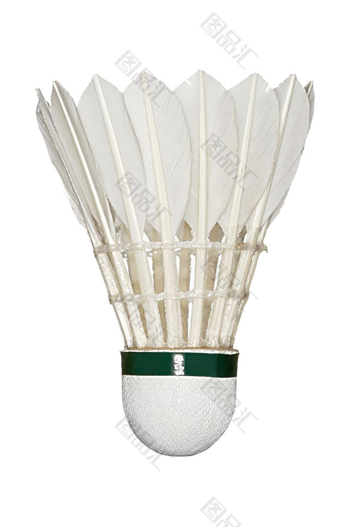 她们的成长 她们的成长