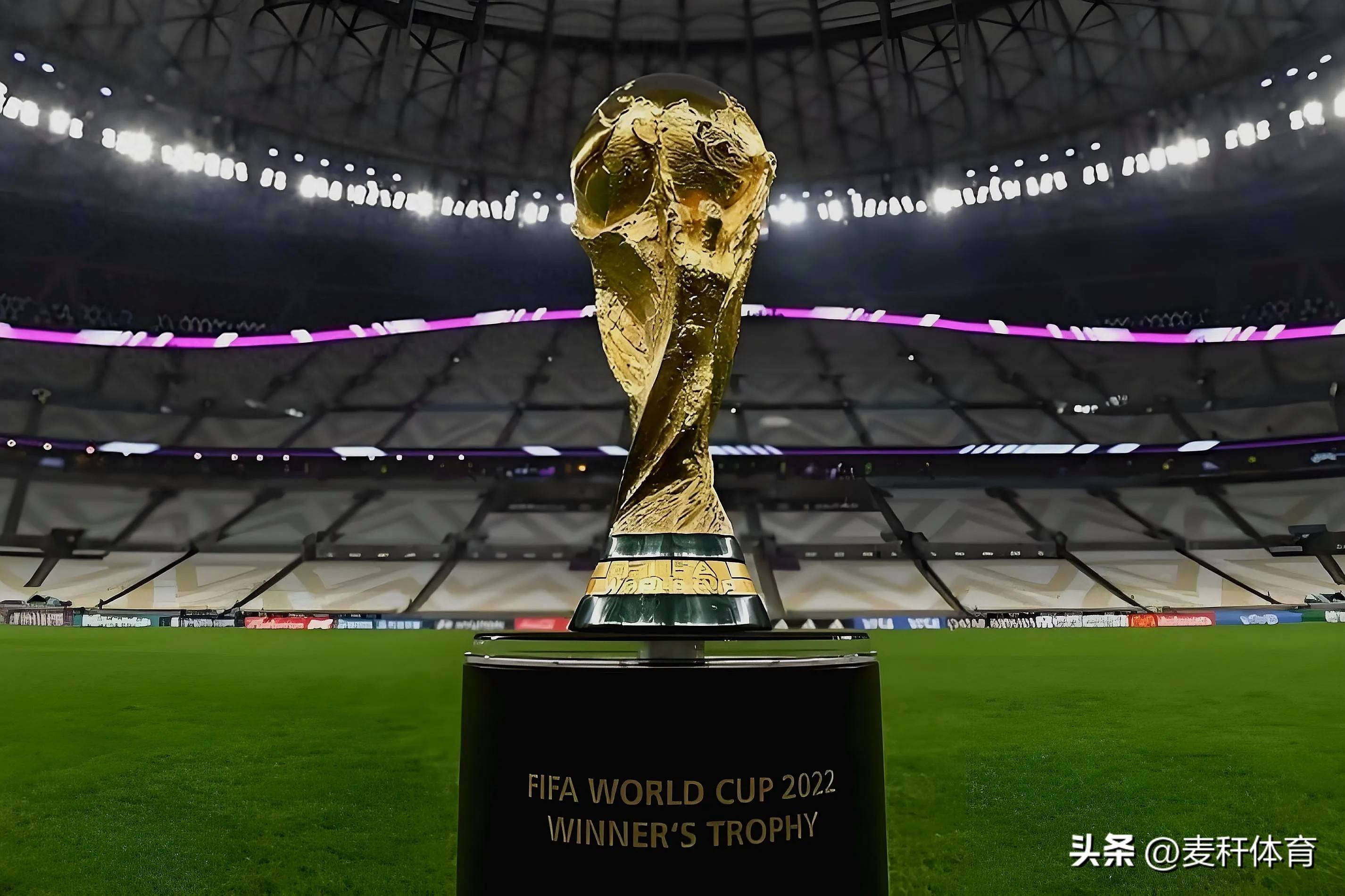 迷的热情 迷的热情