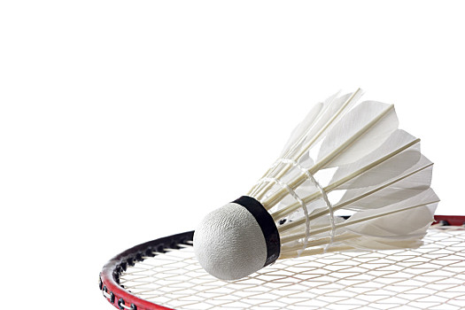 梅斯的顽强 梅斯的顽强