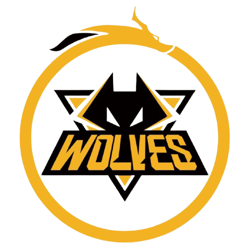 生涯高光时 生涯高光时